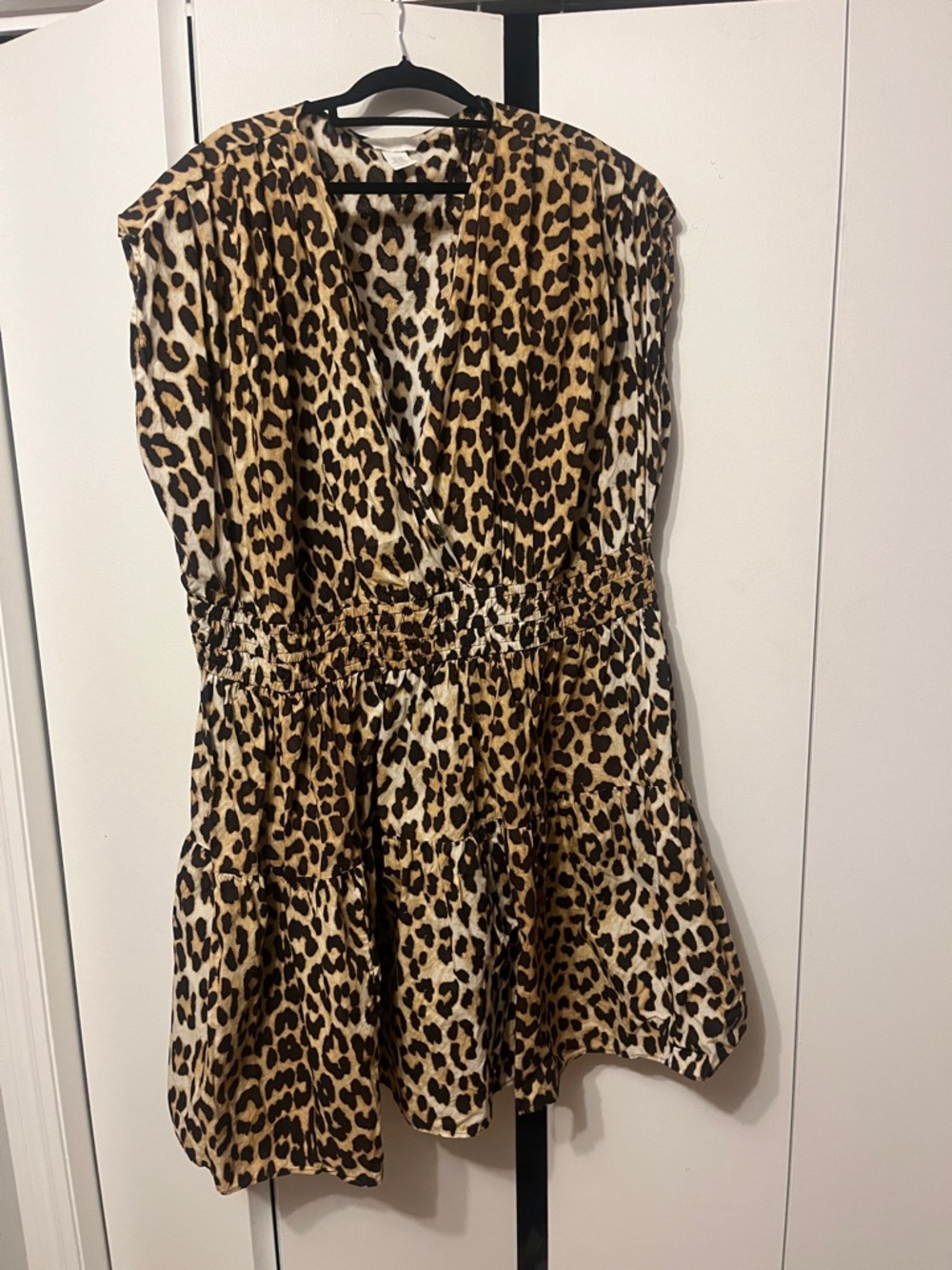 Leopard Print V-Neck Tie-Waist Dress